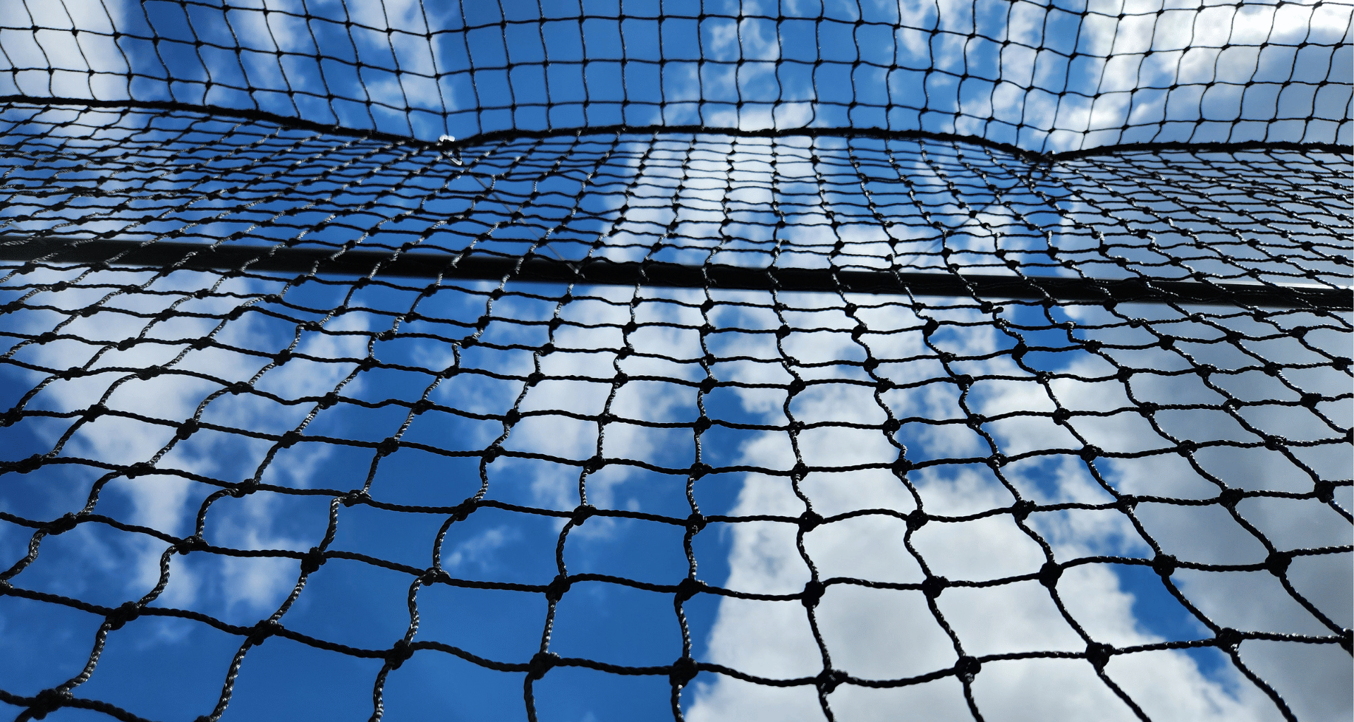 What Are the Key Differences Between Batting Cages and the Companies That Sell Them?