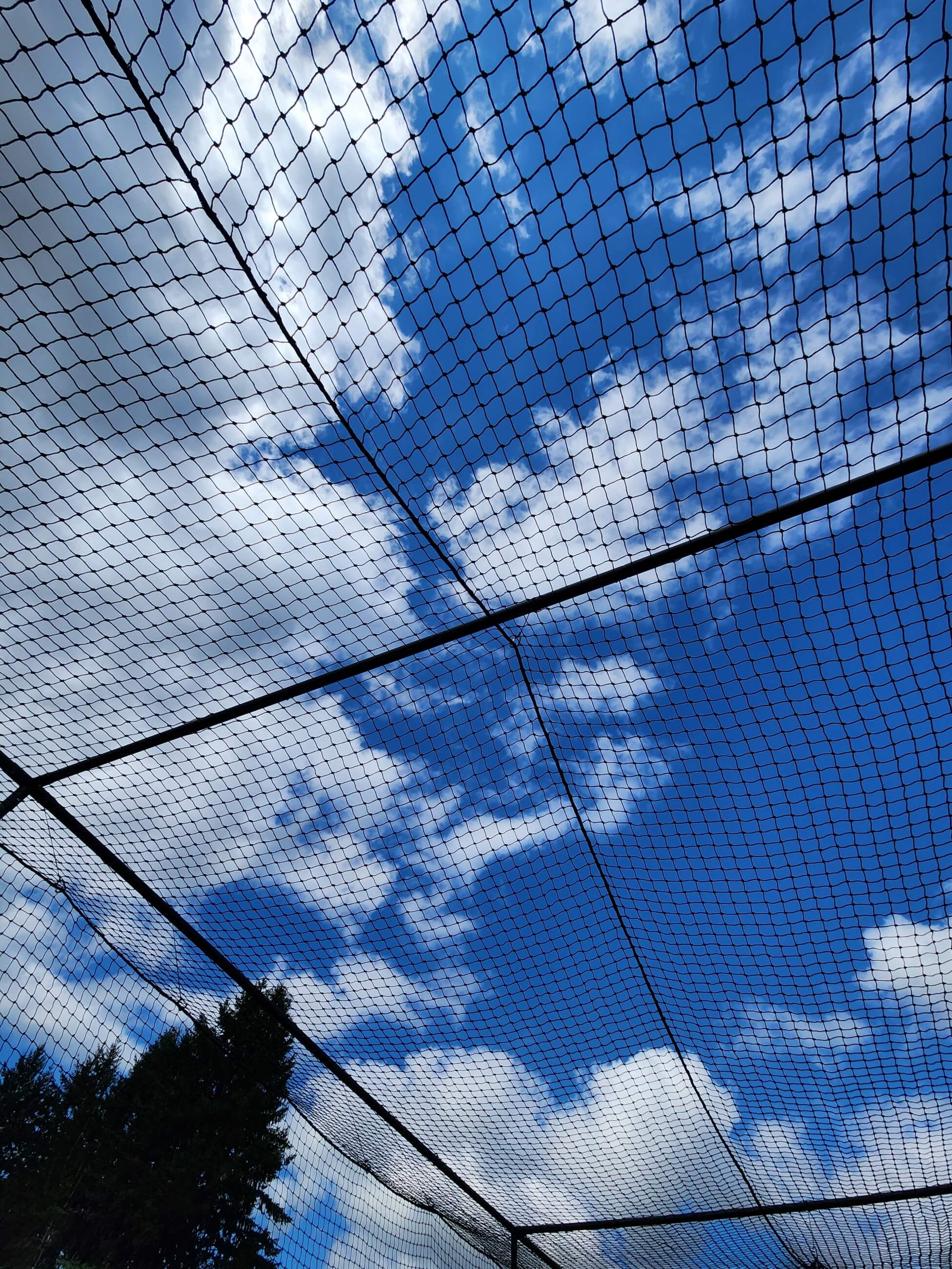 Inside view of the batting cage net clipped and hung from the frame