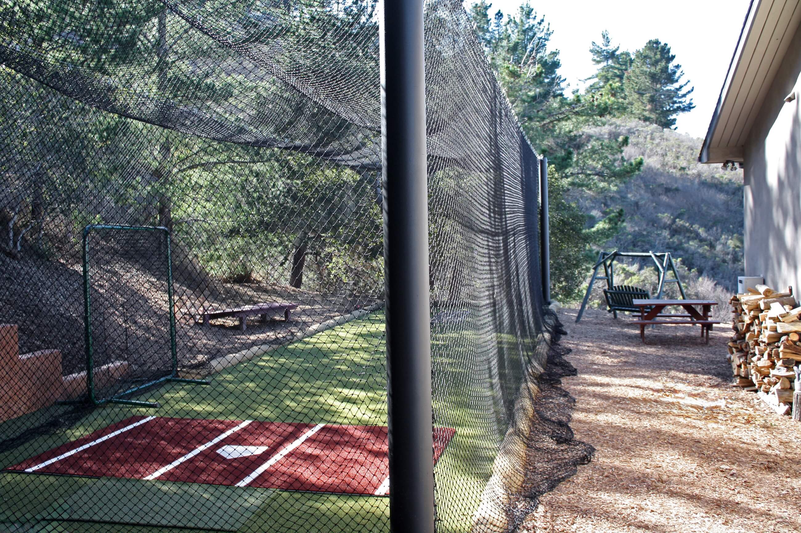 Mastodon batting cage in backyard