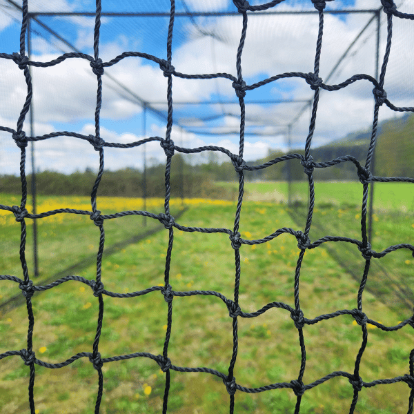 Batting Cage netting close up with frame, trees, blue skies, and green grass