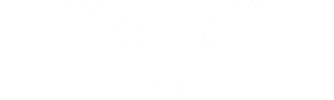 Texas Longhorns logo